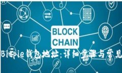 如何查找Bitpie钱包地址：详细步骤与常见问题解