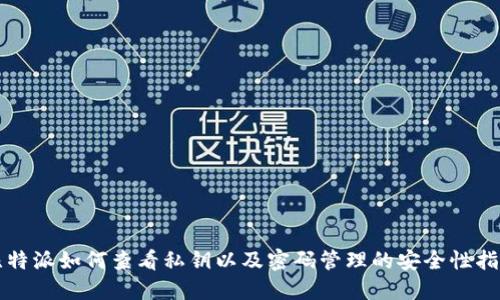 比特派如何查看私钥以及密码管理的安全性指南