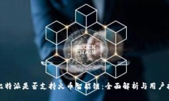 : 比特派是否支持火币智能链：全面解析与用户指