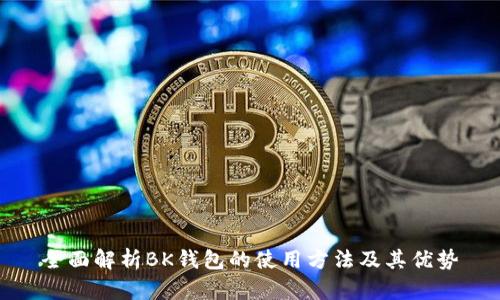 全面解析BK钱包的使用方法及其优势