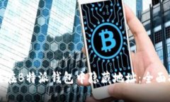 如何在B特派钱包中隐藏地址：全面指南