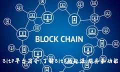 BitP平台简介：了解BitP的起源、服务和功能