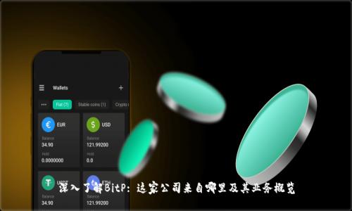 深入了解BitP: 这家公司来自哪里及其业务概览