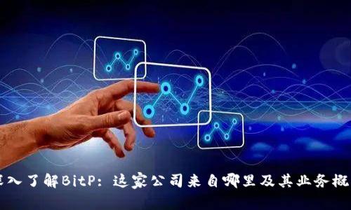 深入了解BitP: 这家公司来自哪里及其业务概览
