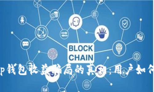 揭开BitKeep钱包收益骗局的真相:用户如何识别与防范