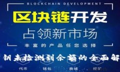 比特派导入密钥未检测到余额的全面解析与解决