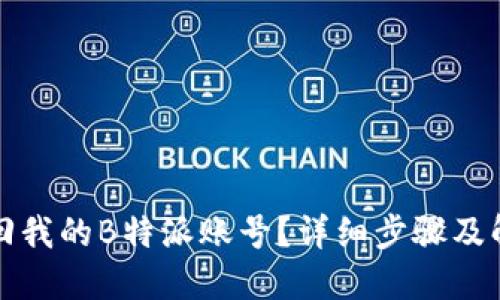 如何找回我的B特派账号？详细步骤及解决方案
