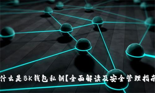 什么是BK钱包私钥？全面解读及安全管理指南