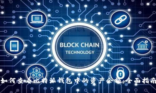 如何查看比特派钱包中的资产余额：全面指南
