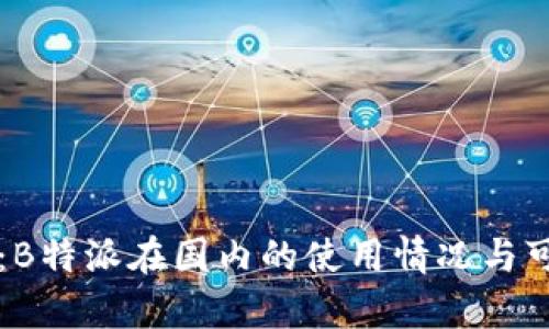 深入探讨：B特派在国内的使用情况与可行性分析