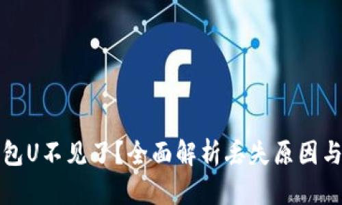 比特派钱包U不见了？全面解析丢失原因与解决方案