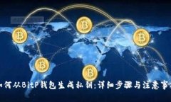 如何从BitP钱包生成私钥：详细步骤与注意事项
