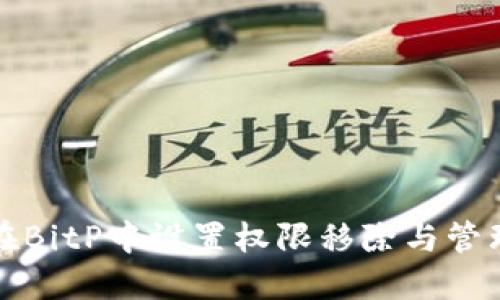 如何在BitP中设置权限移除与管理权限