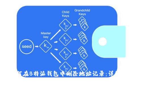 如何在B特派钱包中删除地址记录：详细指南