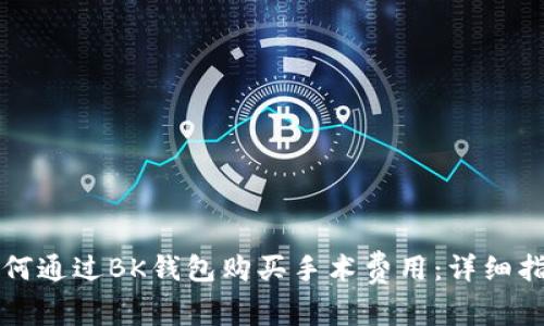 如何通过BK钱包购买手术费用：详细指南