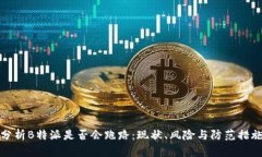 分析B特派是否会跑路：现状、风险与防范措施