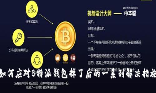 如何应对B特派钱包掉了后的一系列解决措施
