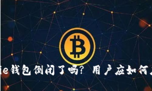 Bitpie钱包倒闭了吗? 用户应如何应对?