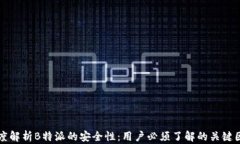 深度解析B特派的安全性：用户必须了解的关键因