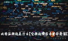 比特派燃烧是什么？它燃烧哪些币才会升值？