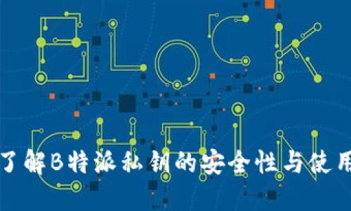 深入了解B特派私钥的安全性与使用技巧