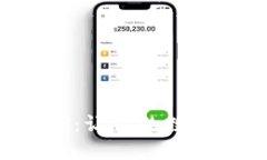 详解BitP官方APP：让你的数字资产管理更高效