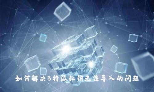 如何解决B特派私钥无法导入的问题