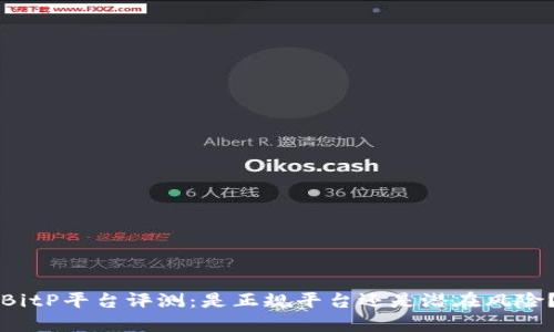 BitP平台评测：是正规平台还是潜在风险？