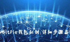 如何导入BitPie钱包私钥：详细步骤与注意事项
