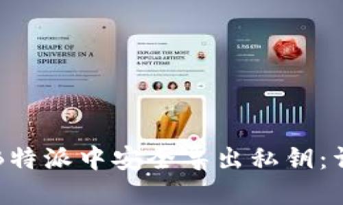 如何在B特派中安全导出私钥：详细指南