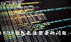 如何解决BitP钱包无法登录的问题：全面指南