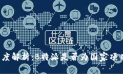 深度解析：B特派是否为国家项目？
