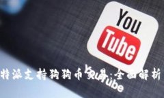 如何利用B特派支持狗狗币交易：全面解析与实践