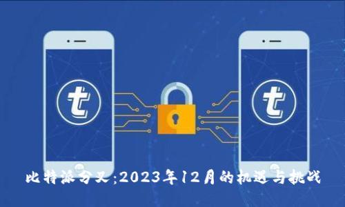 比特派分叉：2023年12月的机遇与挑战