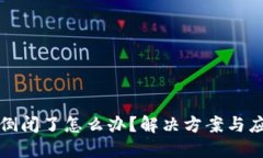 比特币钱包倒闭了怎么办？解决方案与应对措施