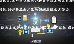   什么是BitP？深入解析其组成和应用 /  guanjianc