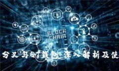 比特币分叉与QT钱包：深入解析及使用指南