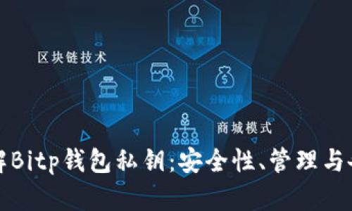 深入了解Bitp钱包私钥：安全性、管理与备份策略