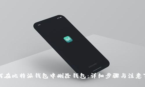 如何在比特派钱包中删除钱包：详细步骤与注意事项