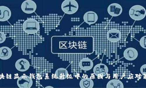 区块链显示钱包系统升级中的原因与用户应对策略