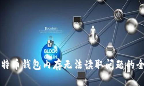 解决比特币钱包内存无法读取问题的全面指南