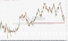 如何通过谷歌钱包购买USDT：详细指南与常见问题