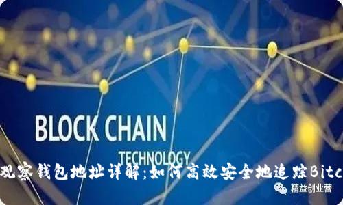 比特币观察钱包地址详解：如何高效安全地追踪Bitcoin交易