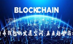 比特币钱包的发展空间：未来趋势与机遇