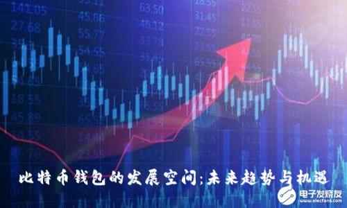 比特币钱包的发展空间：未来趋势与机遇