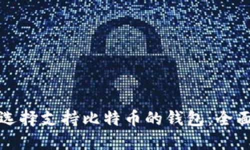 如何选择支持比特币的钱包：全面指南