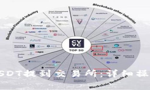 如何将货币钱包中的USDT提到交易所：详细操作指南与常见问题解析