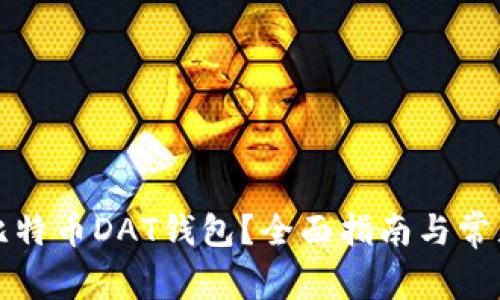 如何打开比特币DAT钱包？全面指南与常见问题解答