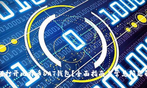 如何打开比特币DAT钱包？全面指南与常见问题解答