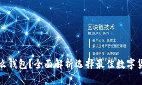 炒虚拟币用什么钱包？全面解析选择最佳数字货币钱包的指南